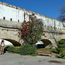Tommy under the viaduct of Parras de la Fuente
